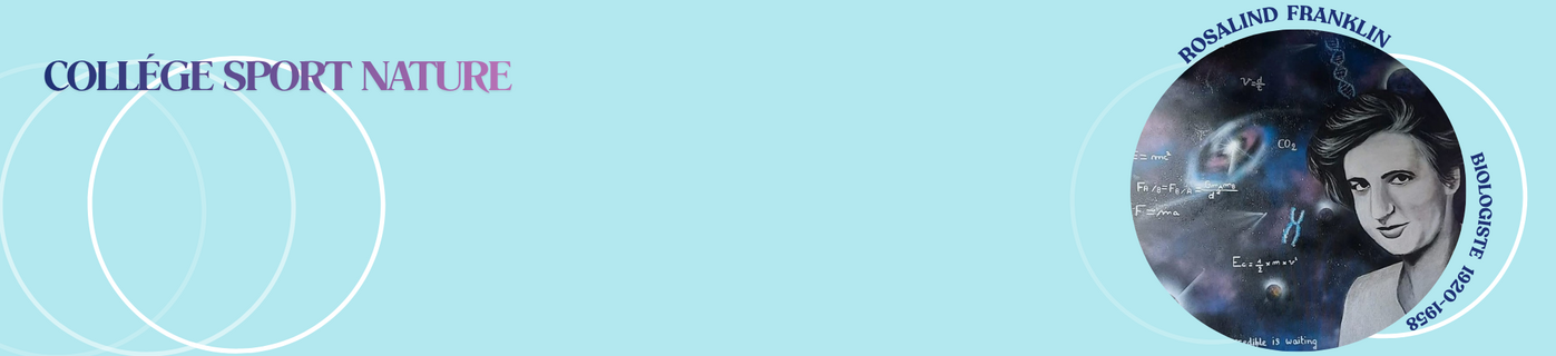Turquoise Elegant Minimalist Feedback Docs Banner (2).png